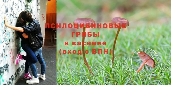 метамфетамин Алексеевка